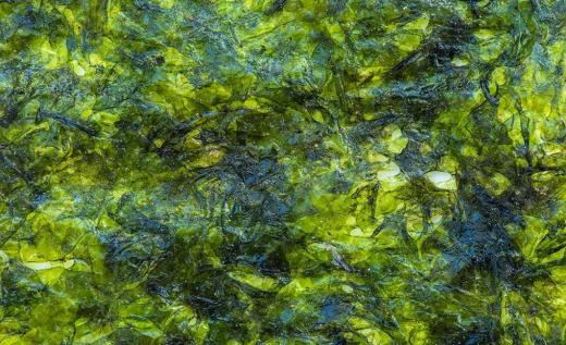 Полезный корейский перекус для взрослых и детей