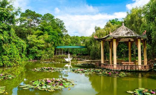 Фестиваль цветов в Далате