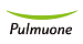 Pulmuone